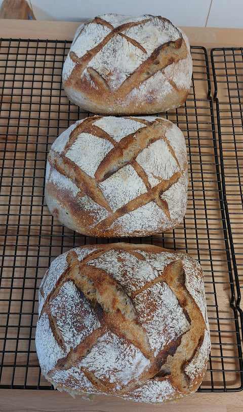 pão de trigo e centeio biológico fermentação natural